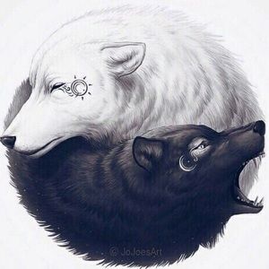 Meet your Posher, Lily